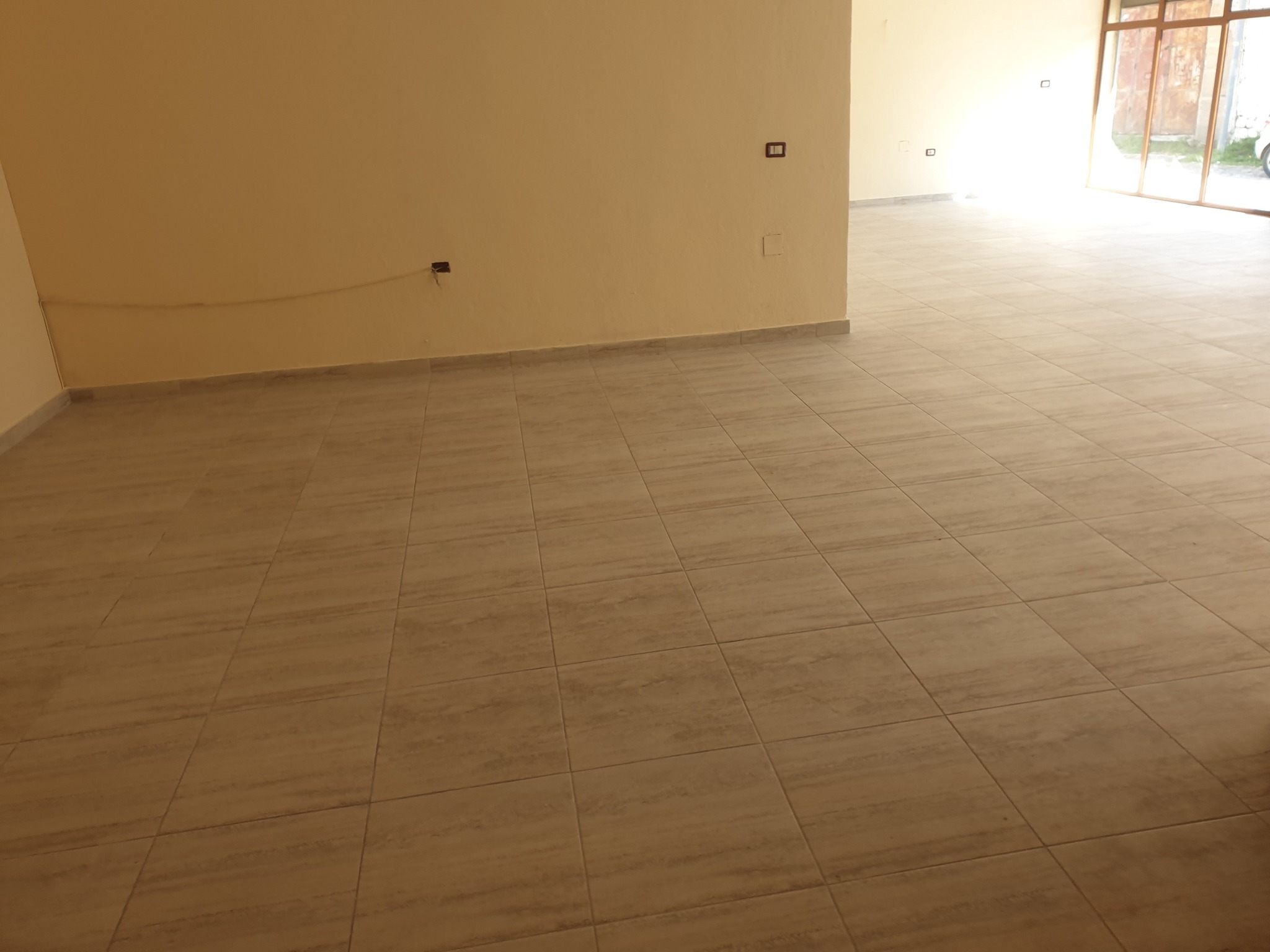Shitet hyrje 2+1+2 + studio me sip: rreth 200 m²